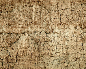 Image showing Soil with cracks - wall of a large ravine