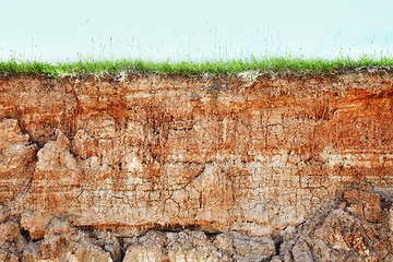 Image showing Cliff - clay soil and grass