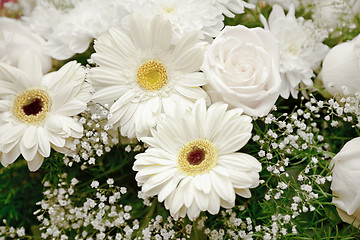 Image showing White flowers backdrop - chrysanthemums and roses