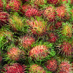 Image showing Ripe fruits - rambutan