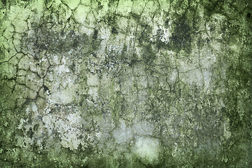 Image showing Concrete wall green with time and moisture