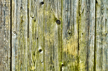 Image showing Green with damp, wooden fence