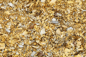 Image showing Natural background - old wood shavings