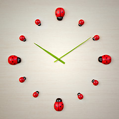 Image showing ladybird clock