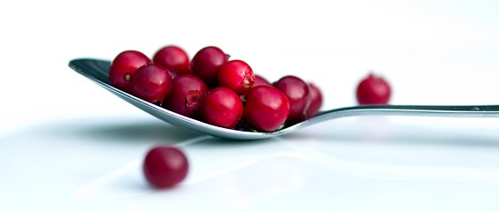 Image showing Cranberries