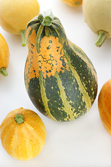 Image showing a few decorative pumpkin on a light background