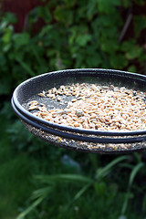 Image showing bird feeder