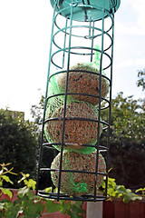 Image showing bird feeder 