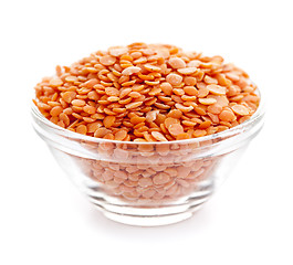 Image showing Bowl of uncooked red lentils