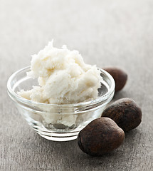 Image showing Shea butter and nuts in bowl