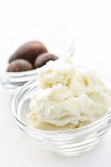 Image showing Shea butter and nuts in bowls