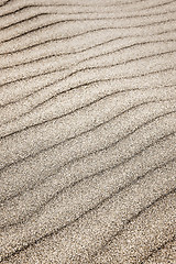 Image showing Sand ripples background