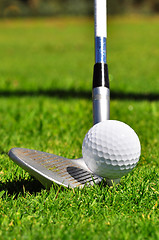 Image showing Golf ball and driver