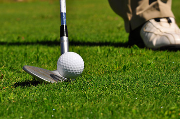 Image showing Golfer in a golf course