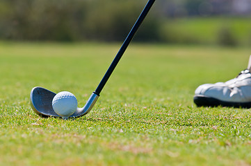 Image showing Golfer in a golf course