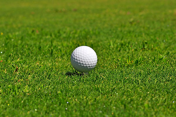 Image showing Golf Ball