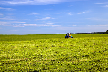 Image showing Hay preparation