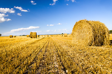 Image showing Straw stack