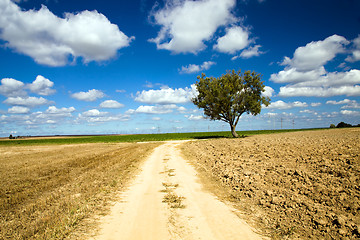 Image showing Road in the field