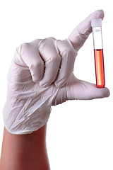 Image showing Blood Sample