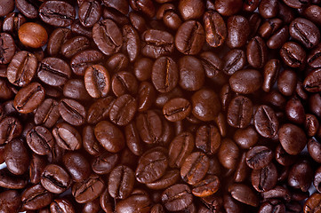 Image showing Coffee Beans