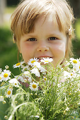 Image showing Little girl with daisies