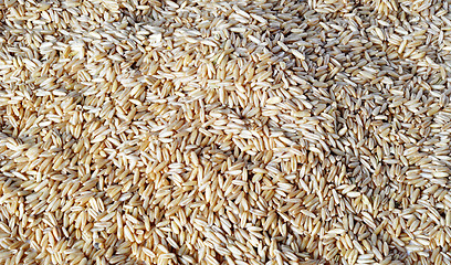 Image showing Wheat grains