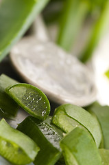 Image showing aloe vera juice with fresh leaves