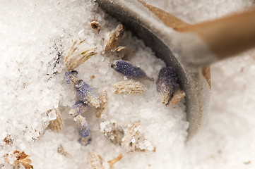 Image showing Lavender Sugar