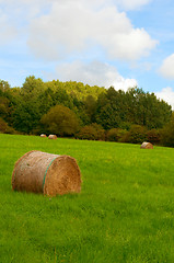 Image showing Harvested Meadow