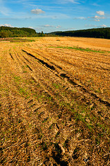 Image showing Harvested Agricultural Field