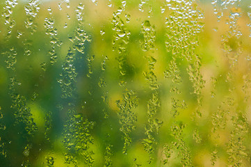 Image showing Rain on Window