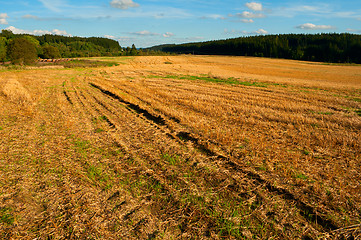 Image showing Harvested Agricultural Field