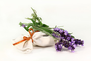 Image showing Lavender