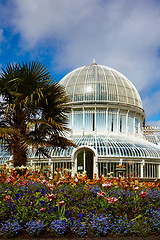 Image showing The Palm House at the Botanic Gardens