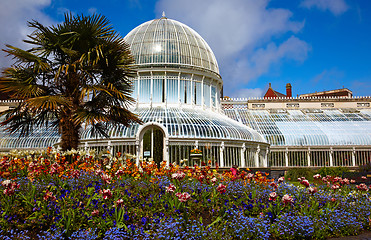 Image showing The Palm House at the Botanic Gardens