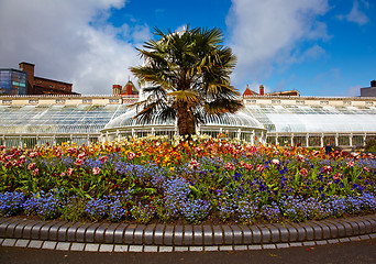 Image showing Belfast Botanic Gardens