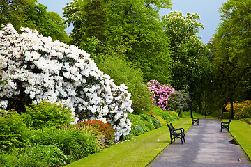 Image showing Belfast Botanic Gardens