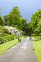 Image showing Belfast Botanic Gardens