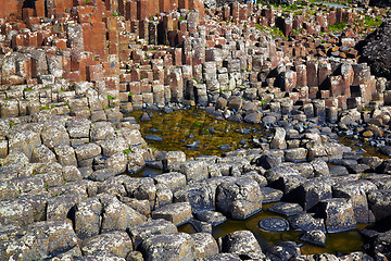 Image showing Giantâ€™s Causeway