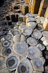 Image showing Giantâ€™s Causeway