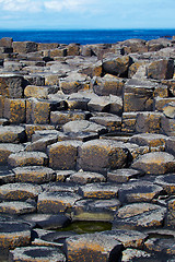 Image showing Giantâ€™s Causeway