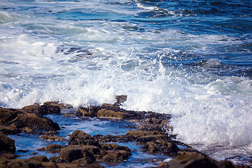 Image showing breaking wave