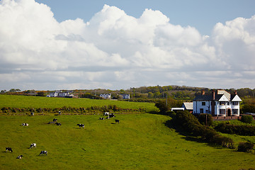 Image showing Irish farm