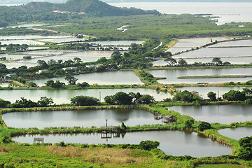 Image showing Rice terrace landscape in China 