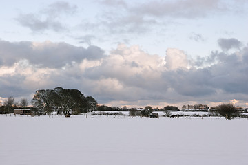 Image showing Snow scene