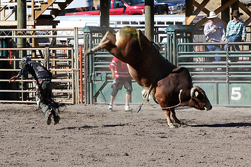 Image showing 52nd Annual Pro Rodeo