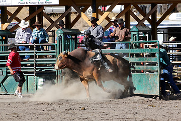 Image showing 52nd Annual Pro Rodeo