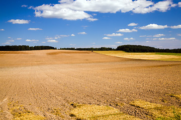 Image showing plowed field