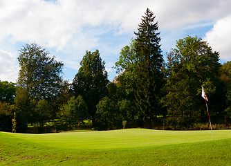 Image showing Golf Green